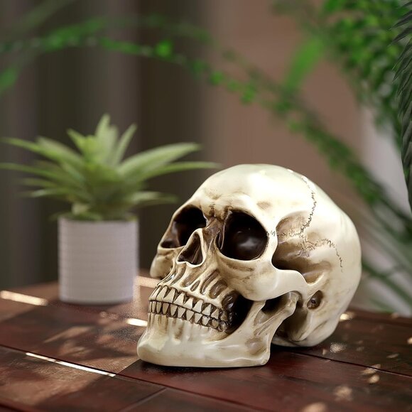 Resin Skull Human Head Model White Halloween Statue Home Decoration Bone Model - Picture 7 of 9